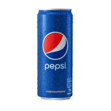 PEPSI REG IN CAN 330ML.