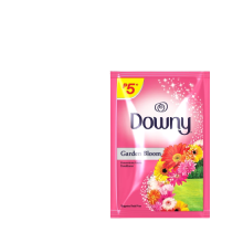 (Case) DOWNY G/B 25MLX6'S