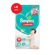 (Case) PAMPERS PANTS 66+4